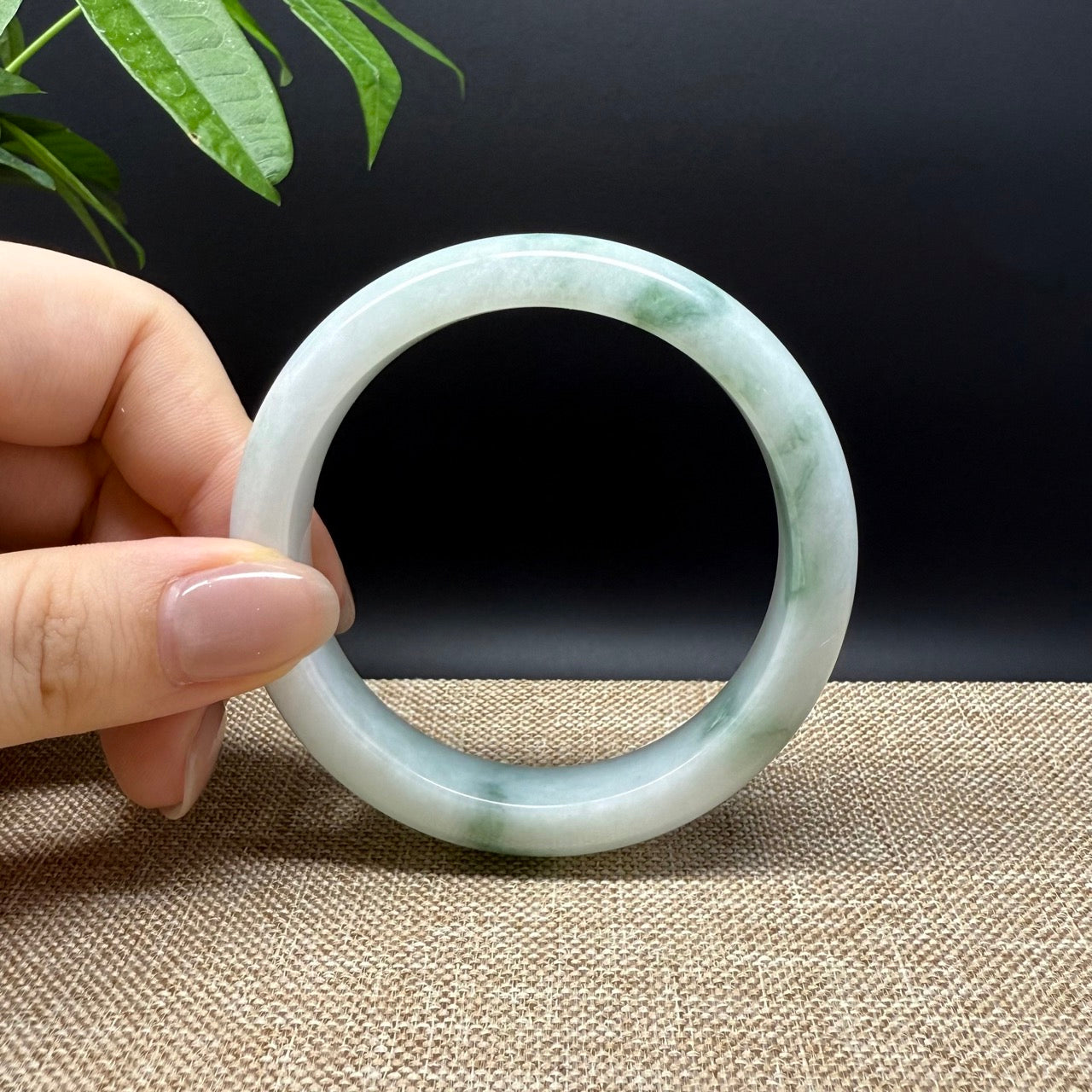 Genuine Burmese White Green Jade Jadeite Bangle Bracelet ( 55.6mm )