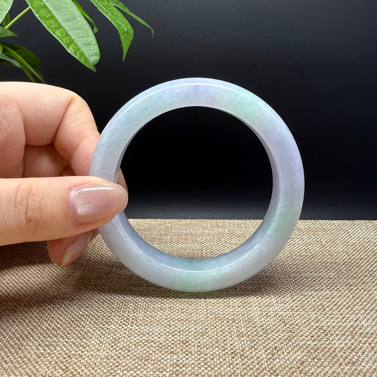 Genuine Burmese Lavender Green Jade Jadeite Bangle Bracelet ( 55.2mm )