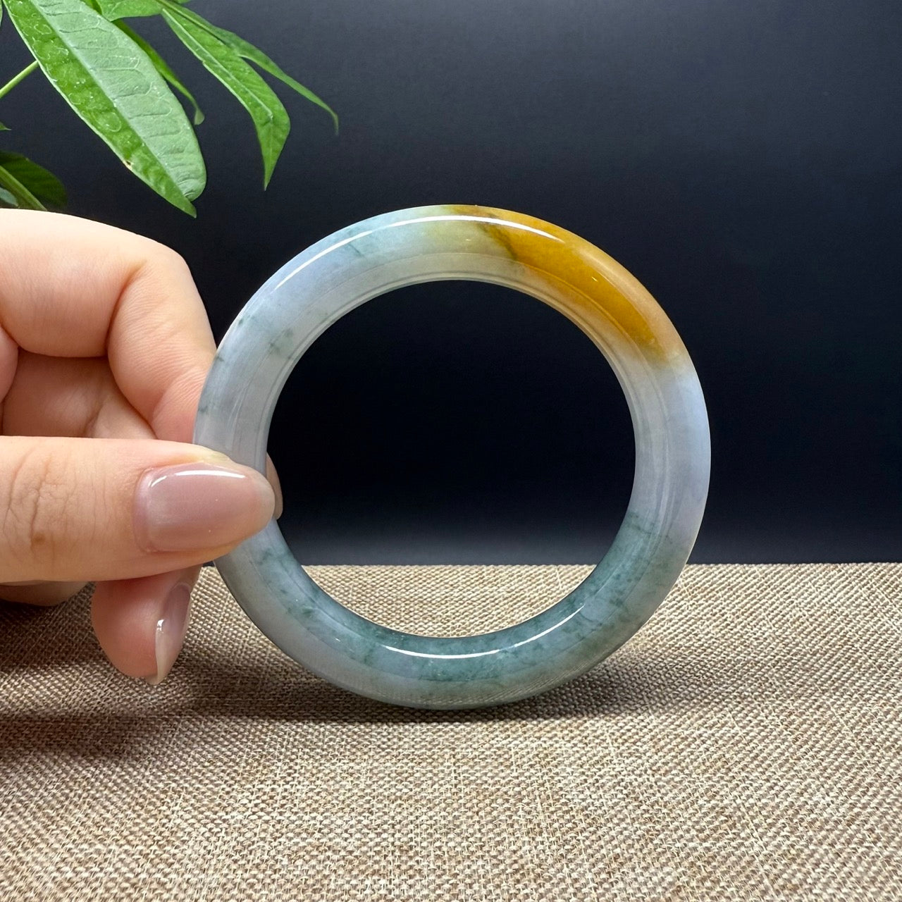 Genuine Burmese Yellow Green Jade Jadeite Bangle Bracelet ( 55.8mm )