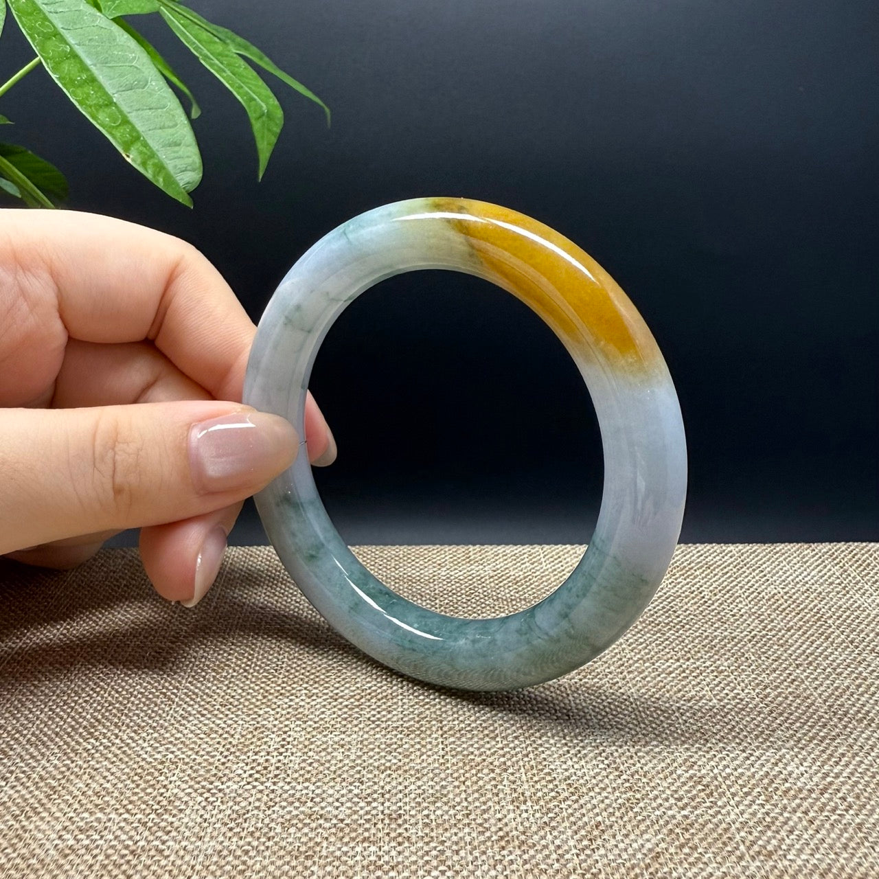 Genuine Burmese Yellow Green Jade Jadeite Bangle Bracelet ( 55.8mm )