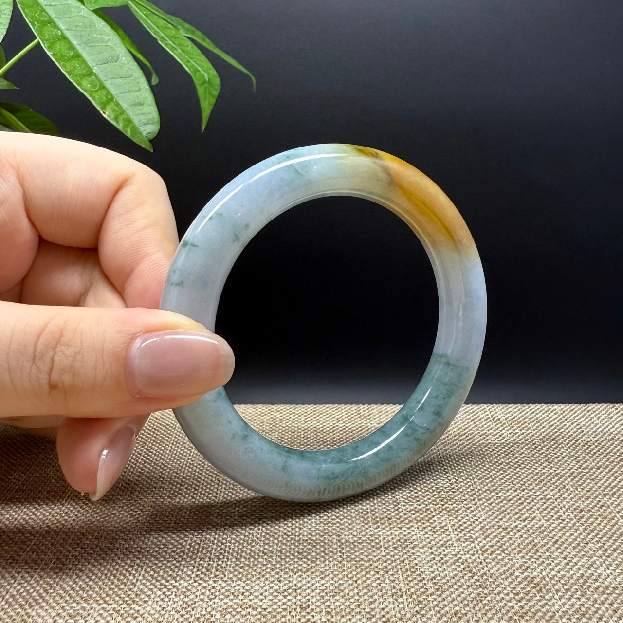 Genuine Burmese Yellow Green Jade Jadeite Bangle Bracelet ( 55.8mm )