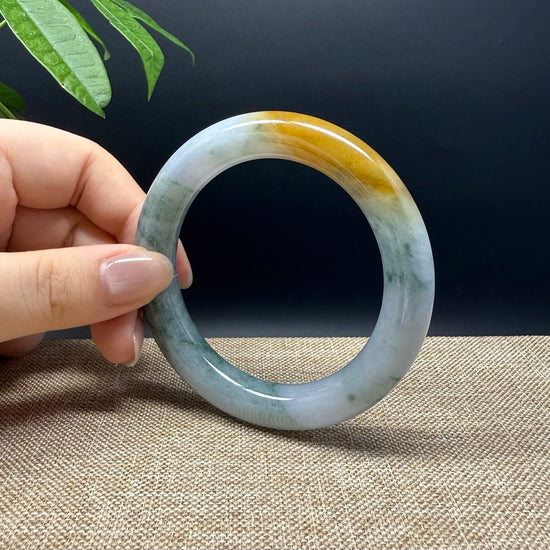 Genuine Burmese Yellow Green Jade Jadeite Bangle Bracelet ( 55.8mm )