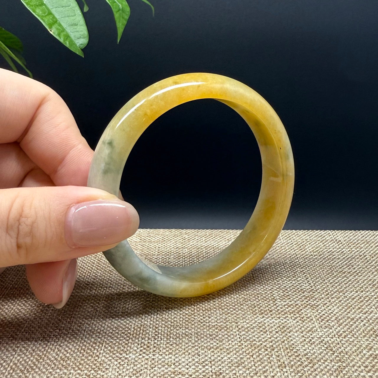 Genuine Burmese Yellow Green Jade Jadeite Bangle Bracelet ( 55.8mm )