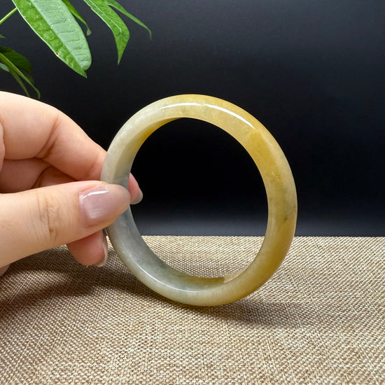 Genuine Burmese Yellow Green Jade Jadeite Bangle Bracelet ( 55.8mm )