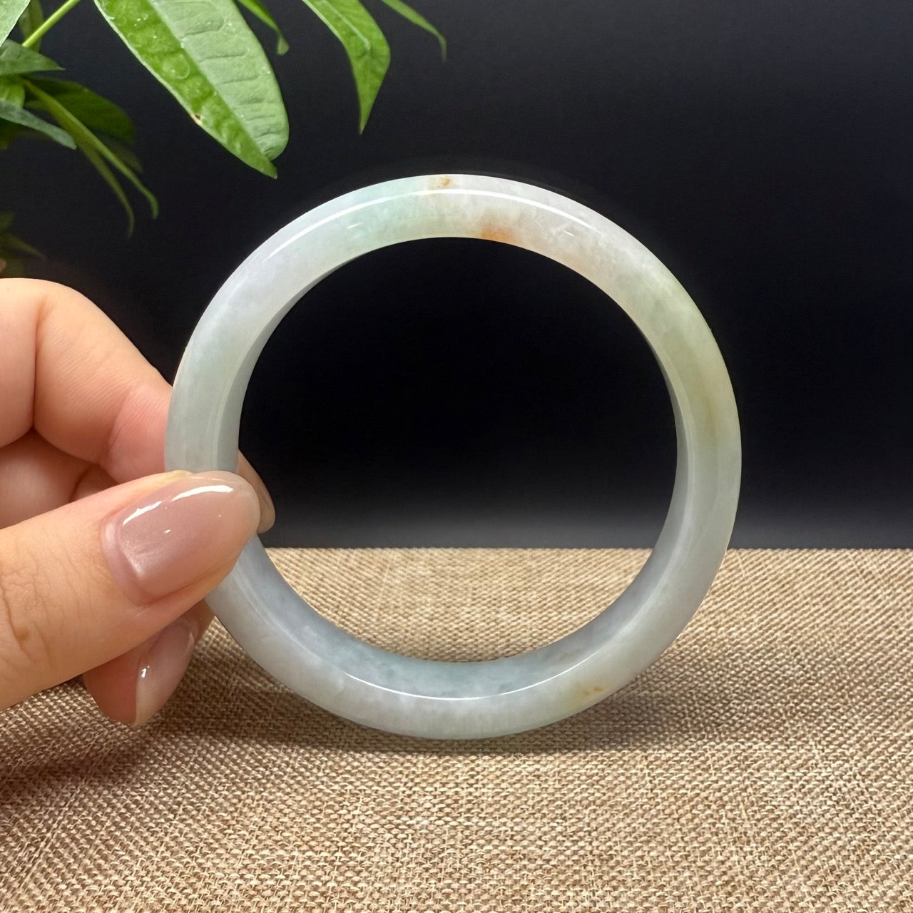 Genuine Burmese Yellow Green Jade Jadeite Bangle Bracelet ( 60.6mm )