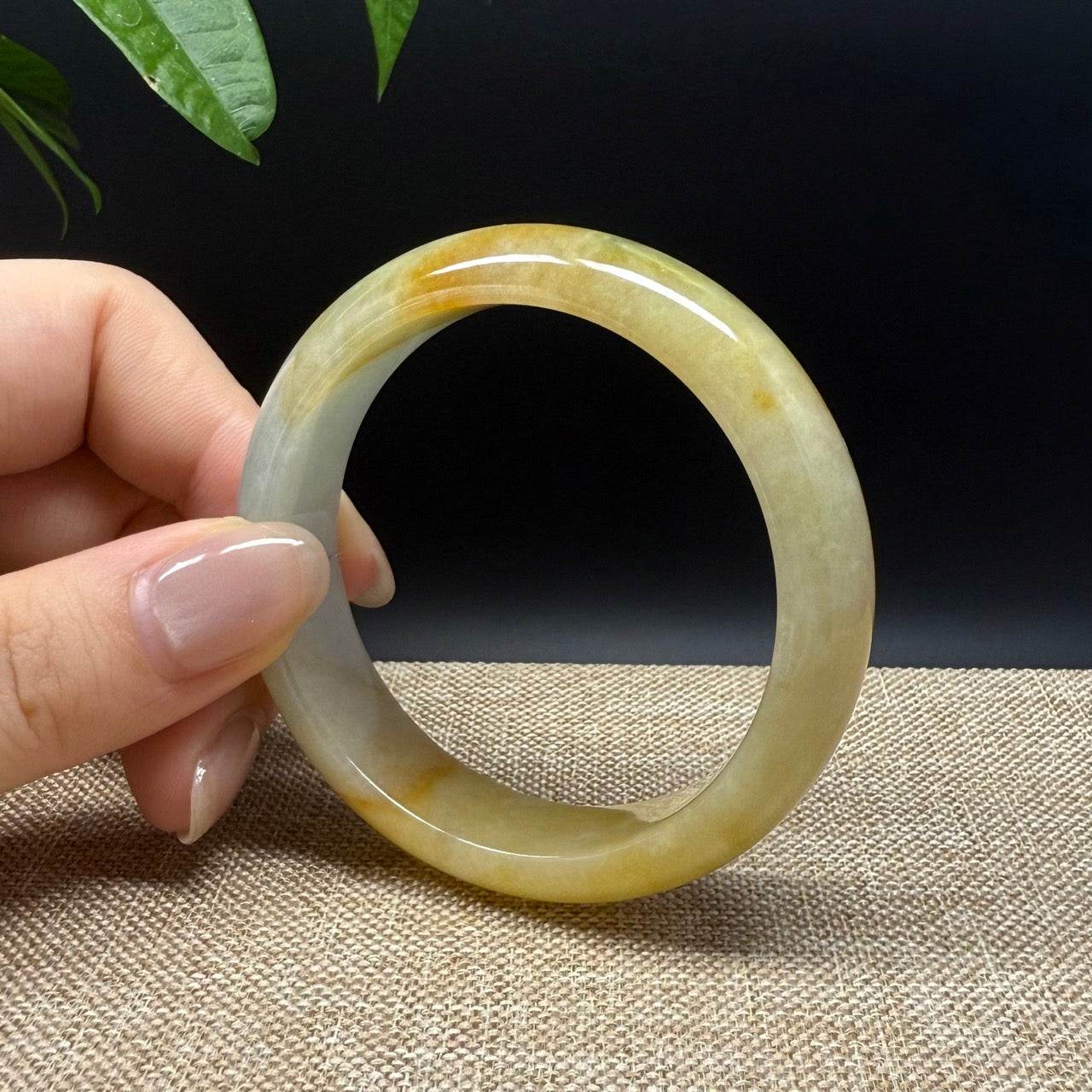 Genuine Burmese Yellow Green lavender Jade Jadeite Bangle Bracelet ( 52.3mm )