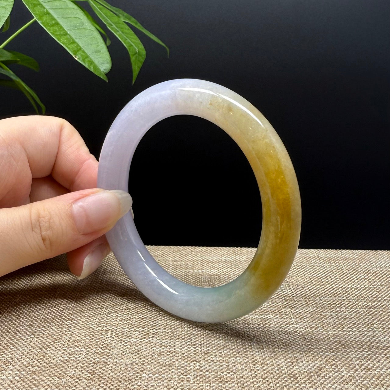 Genuine Burmese Yellow Green lavender Jade Jadeite Bangle Bracelet ( 57mm )