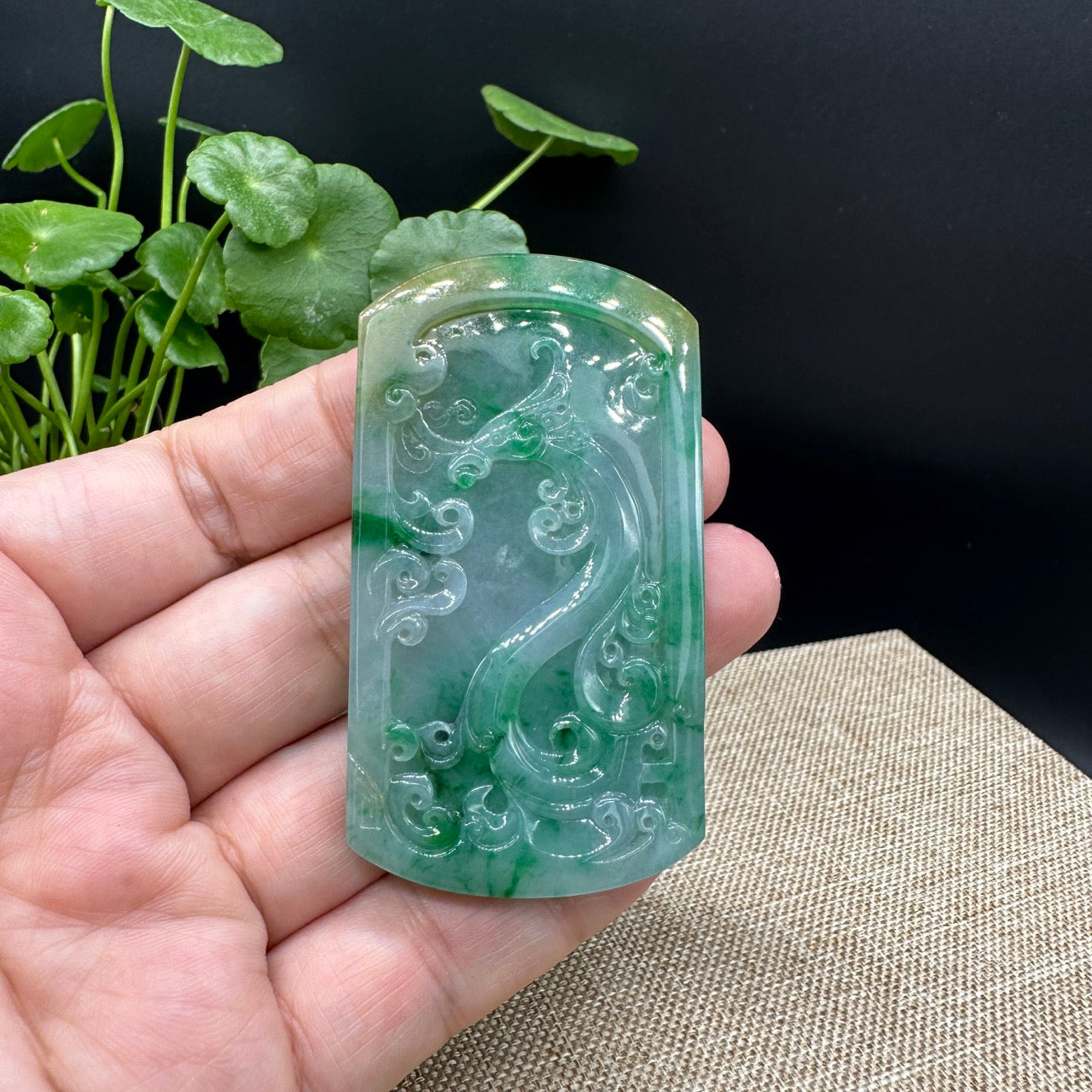 RealJade® High-End Jadeite Jade Dragon Pendant Necklace ( Collectibles )