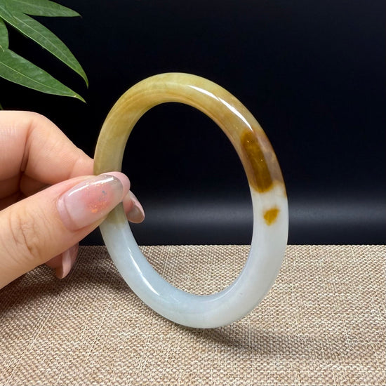 Genuine Burmese Yellow Green Jade Jadeite Bangle Bracelet ( 55.4mm )