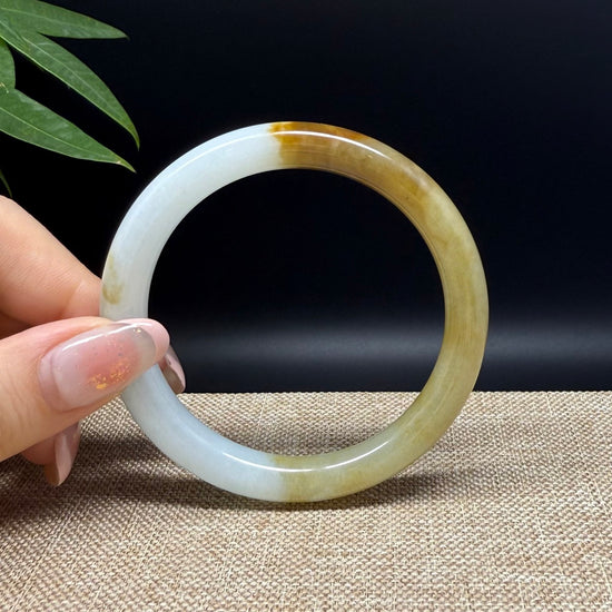 Genuine Burmese Yellow Green Jade Jadeite Bangle Bracelet ( 55.4mm )