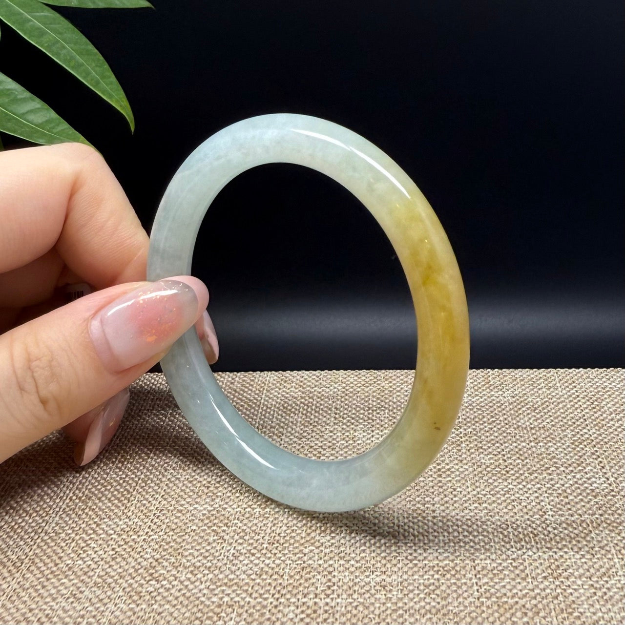 Genuine Burmese Yellow Green Jade Jadeite Bangle Bracelet ( 53.2mm )