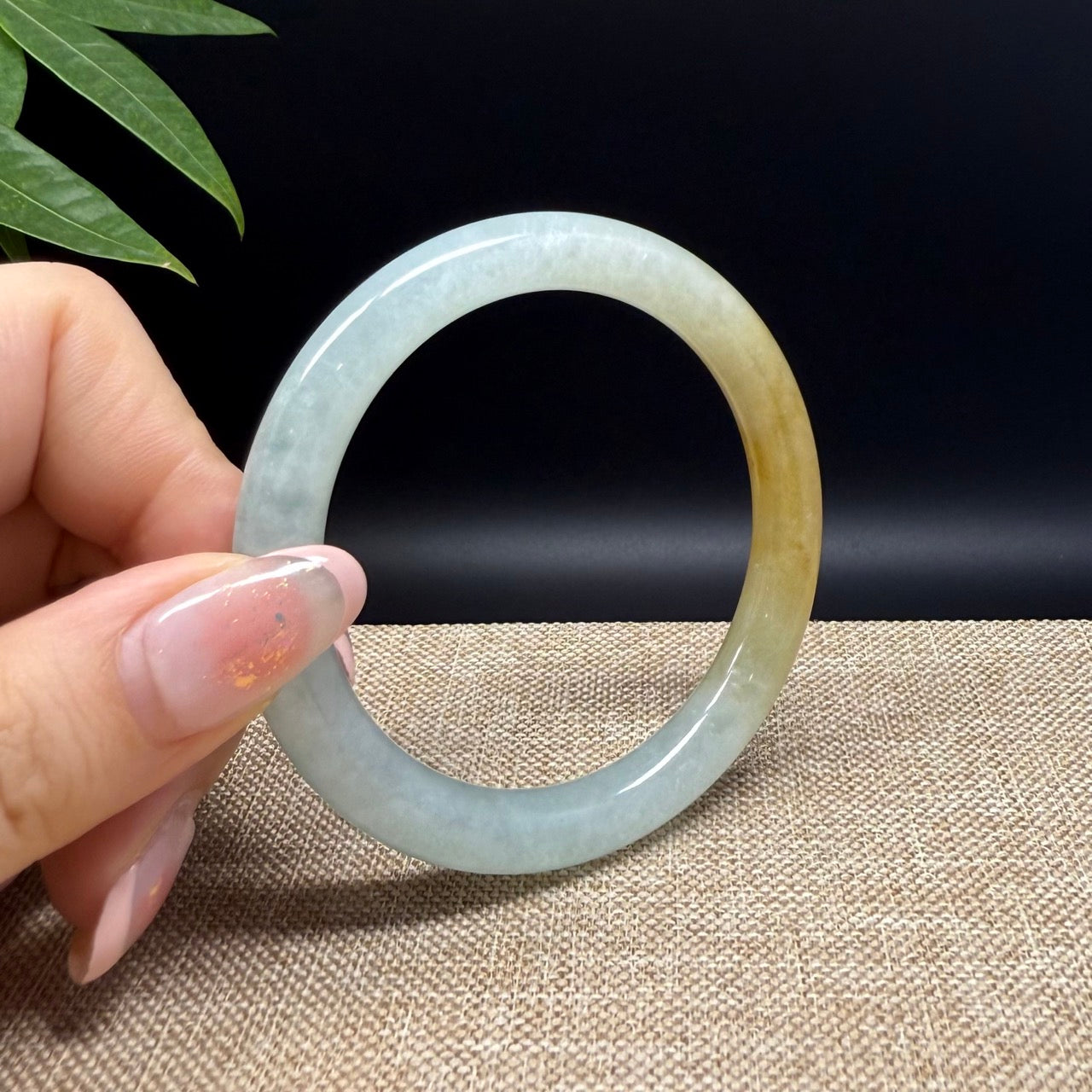 Genuine Burmese Yellow Green Jade Jadeite Bangle Bracelet ( 53.2mm )