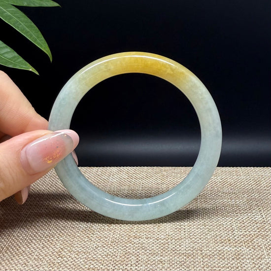 Genuine Burmese Yellow Green Jade Jadeite Bangle Bracelet ( 53.2mm )