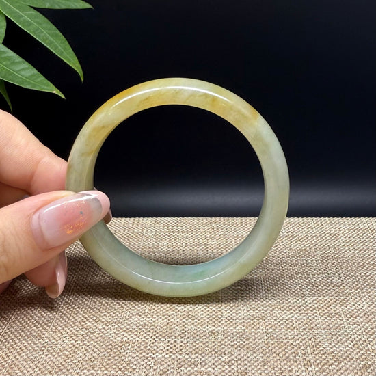 Genuine Burmese Yellow Green Jade Jadeite Bangle Bracelet ( 52.7mm )