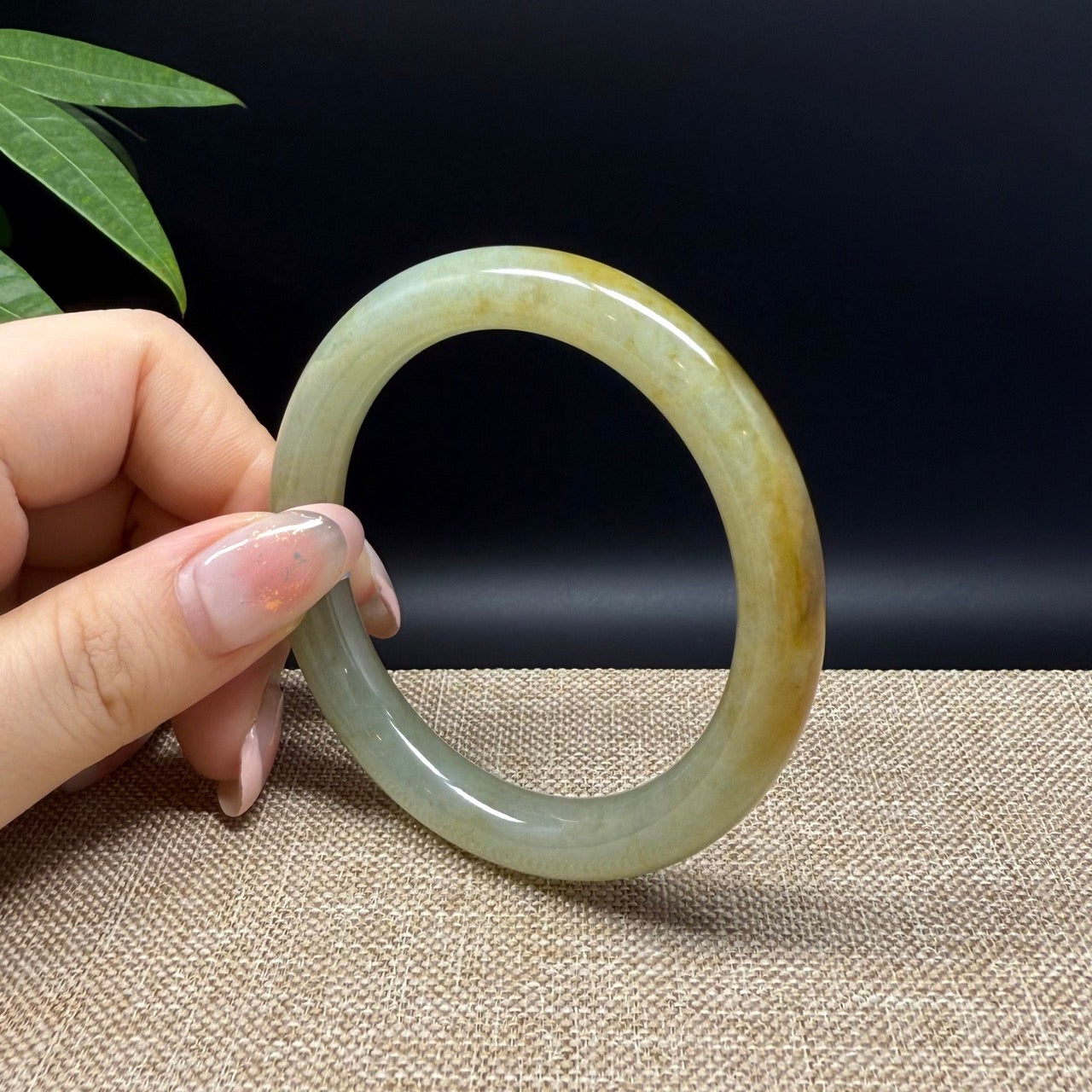 Genuine Burmese Yellow Green Jade Jadeite Bangle Bracelet ( 53.3mm )