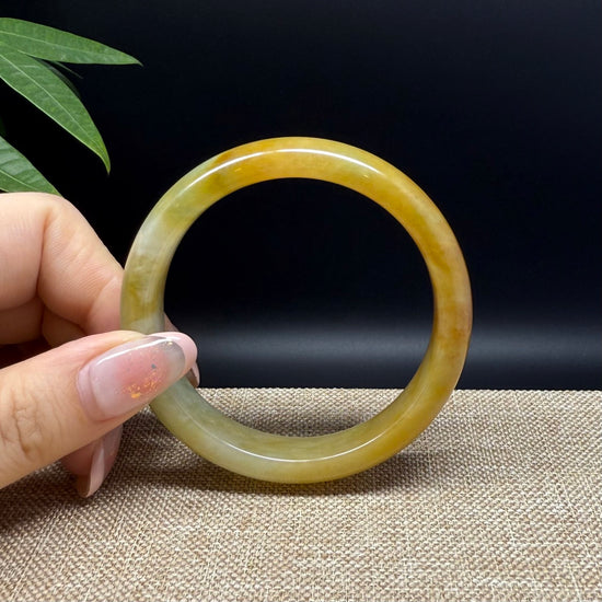 Genuine Burmese Yellow Green Jade Jadeite Bangle Bracelet ( 54.9mm )