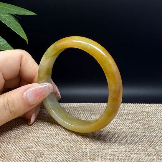 Genuine Burmese Yellow Green Jade Jadeite Bangle Bracelet ( 54.9mm )