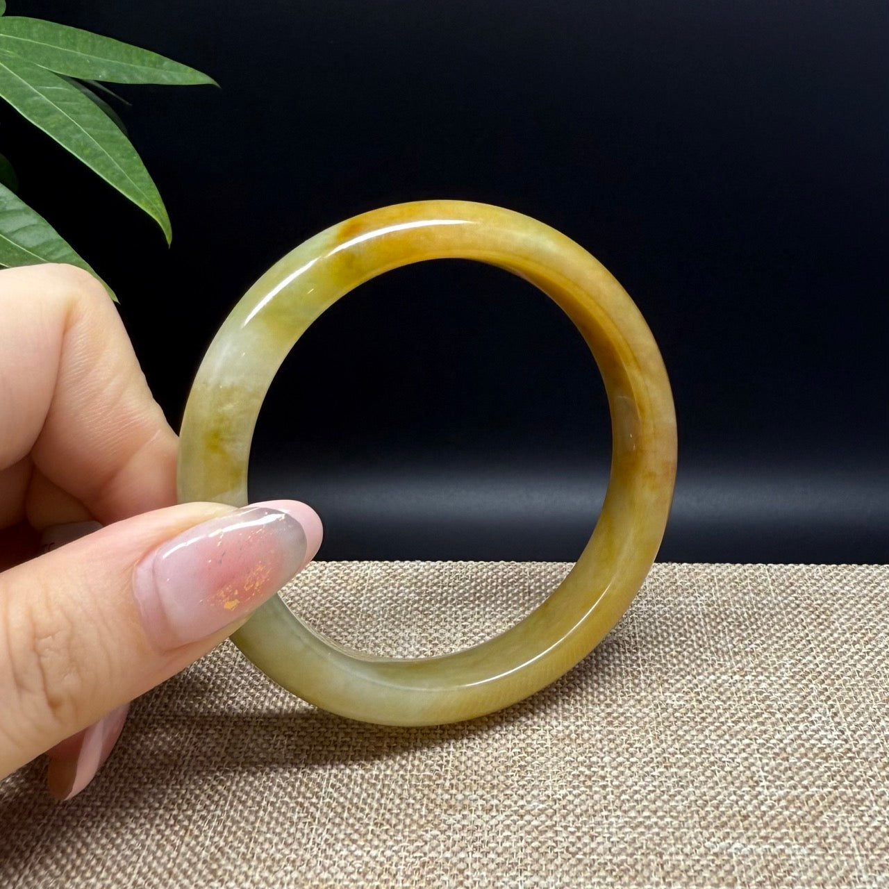 Genuine Burmese Yellow Green Jade Jadeite Bangle Bracelet ( 54.9mm )