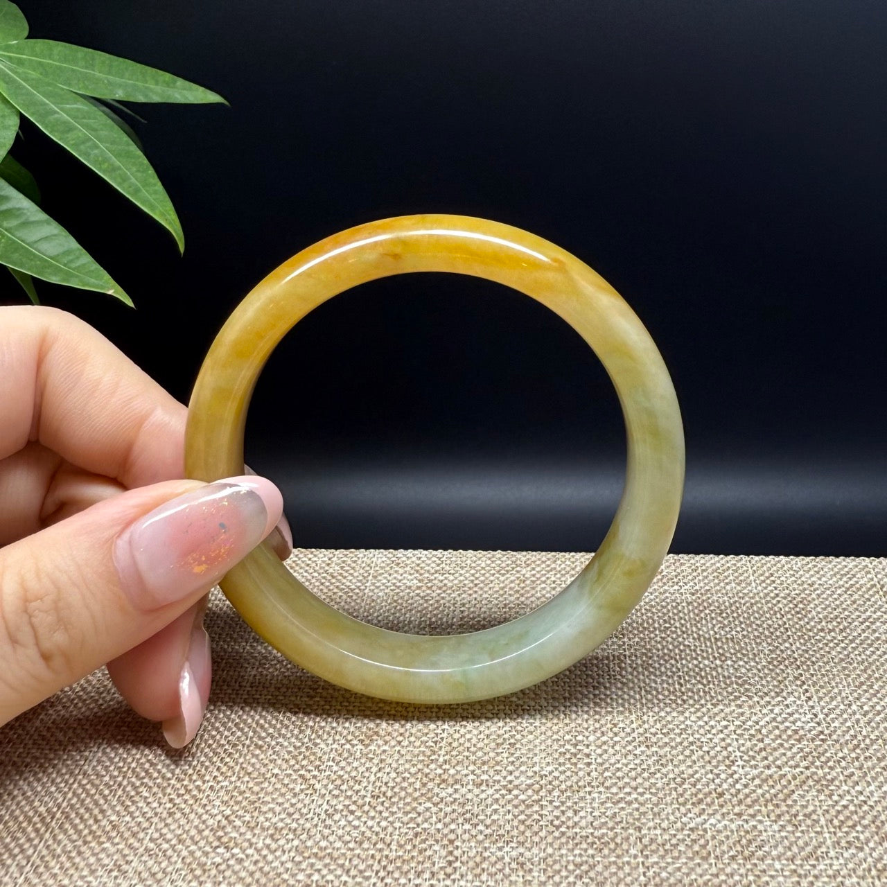 Genuine Burmese Yellow Green Jade Jadeite Bangle Bracelet ( 54.9mm )