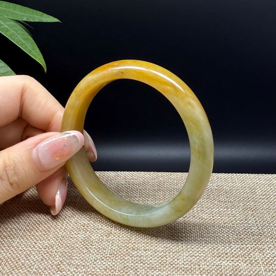 Genuine Burmese Yellow Green Jade Jadeite Bangle Bracelet ( 54.9mm )