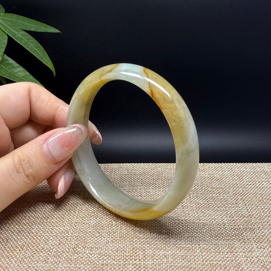 Genuine Burmese Yellow Green Jade Jadeite Bangle Bracelet ( 57.3mm )