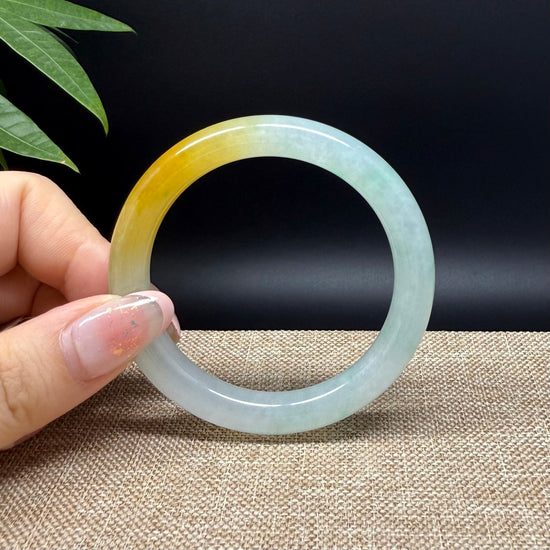 Genuine Burmese Icy Yellow Green Jade Jadeite Bangle Bracelet ( 50.8mm )