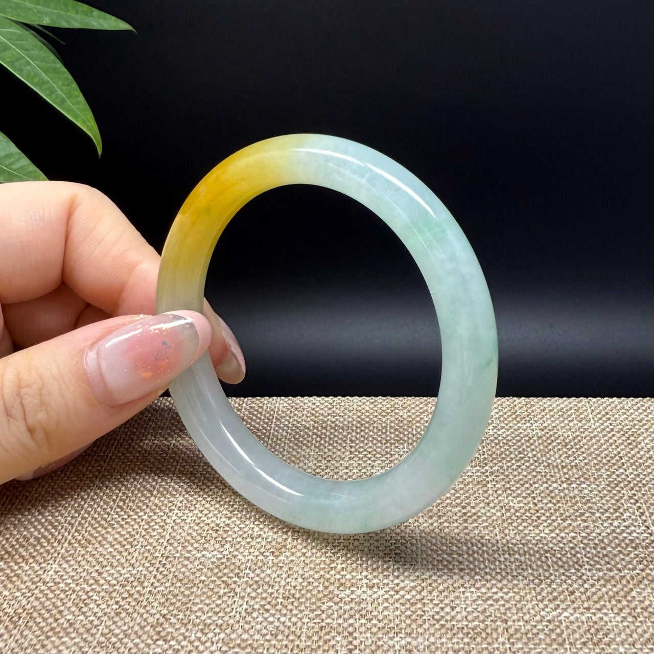 Genuine Burmese Icy Yellow Green Jade Jadeite Bangle Bracelet ( 50.8mm )