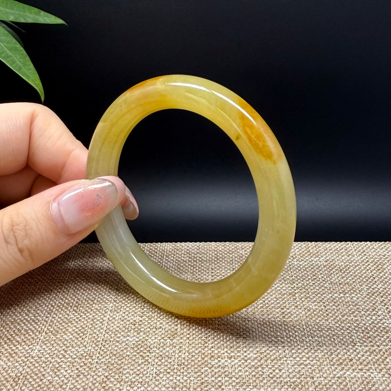 Genuine Burmese Icy Yellow Jade Jadeite Bangle Bracelet ( 50.7mm )