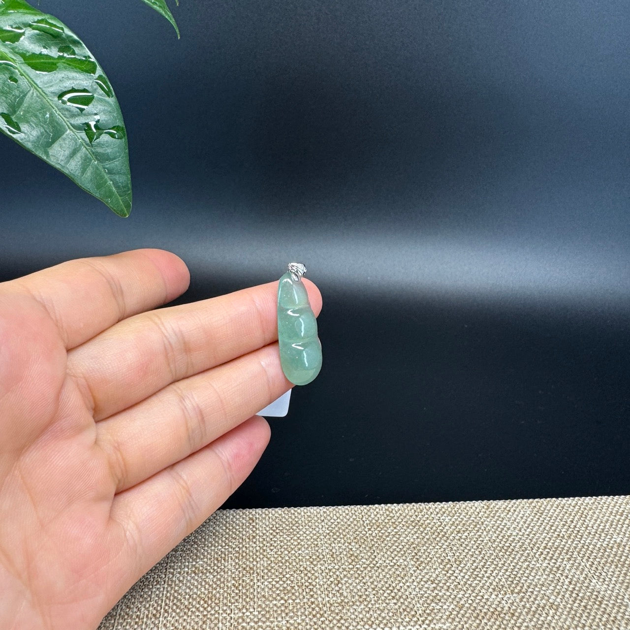 RealJade® Co. Genuine Icy Green  Jadeite Jade Bean Necklace With 18K White Gold Bail