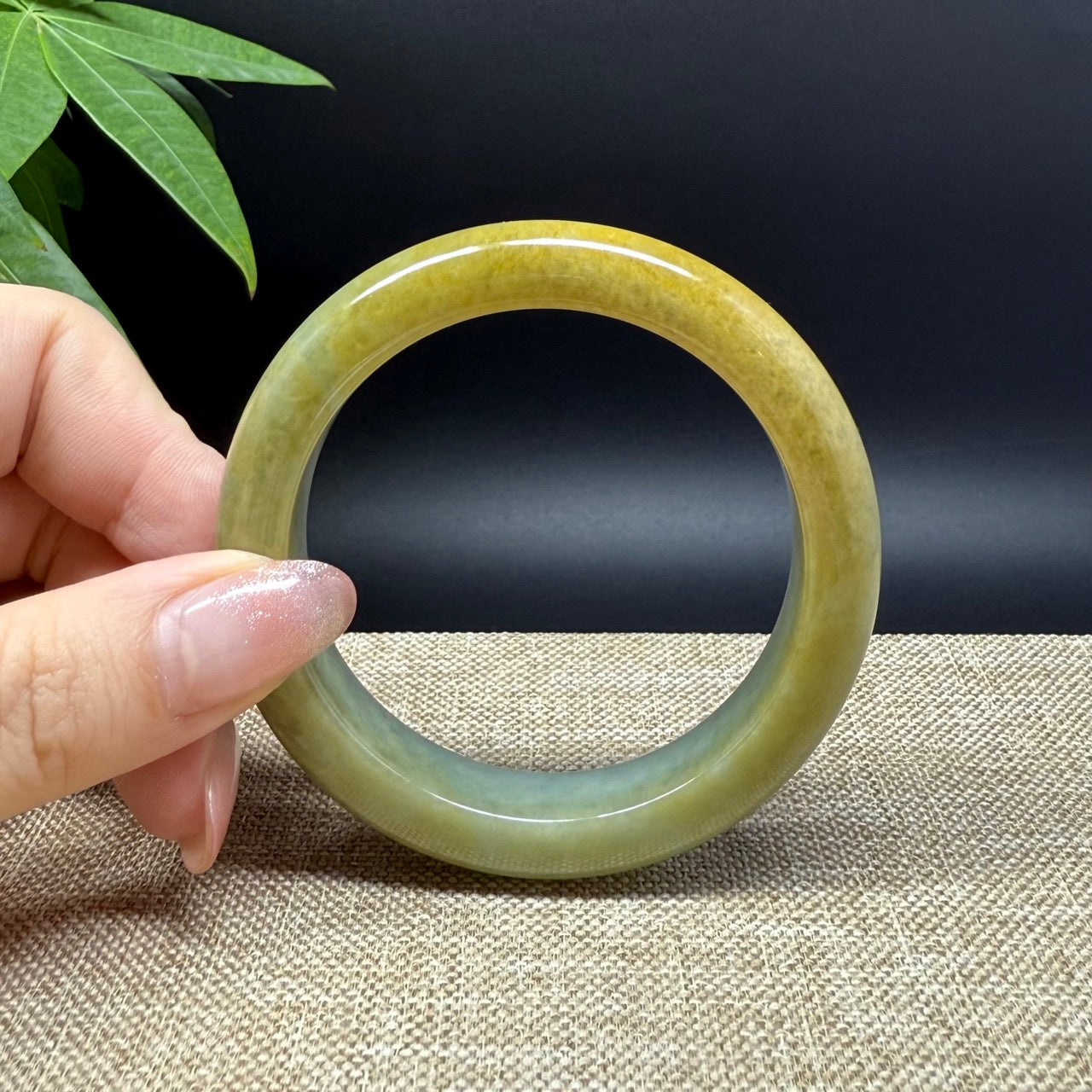 Genuine Burmese Yellow Green Jade Jadeite Bangle Bracelet ( 54.7mm )