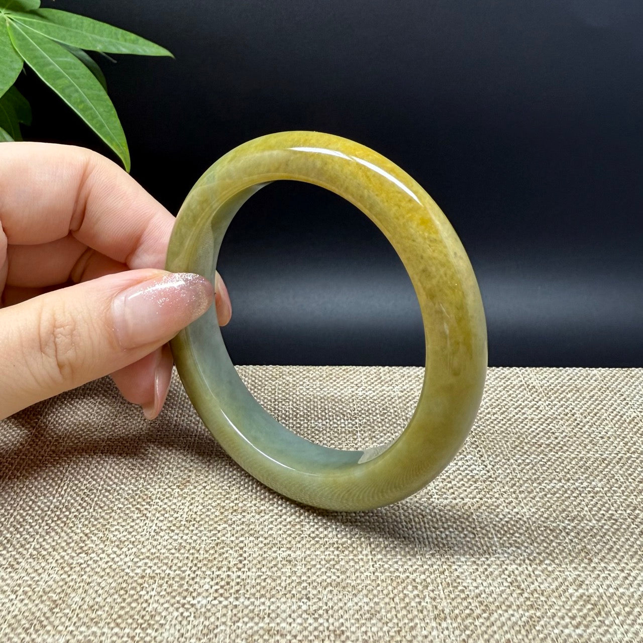 Genuine Burmese Yellow Green Jade Jadeite Bangle Bracelet ( 54.7mm )