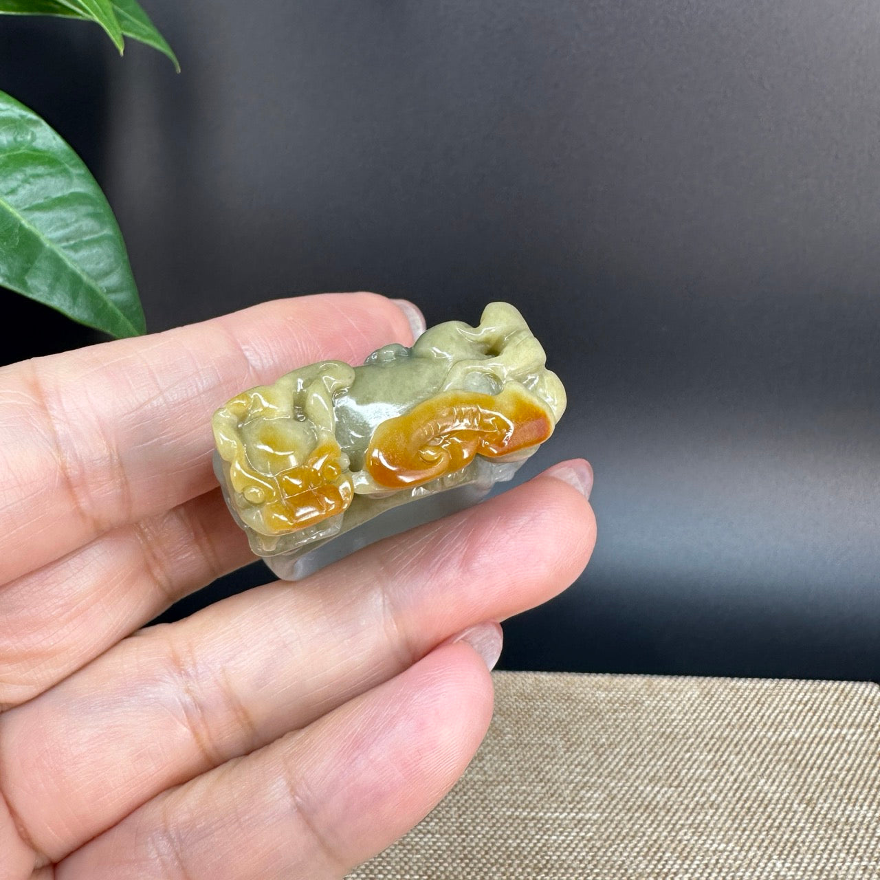 Burmese Yellow Jadeite Jade Men's Band Ring