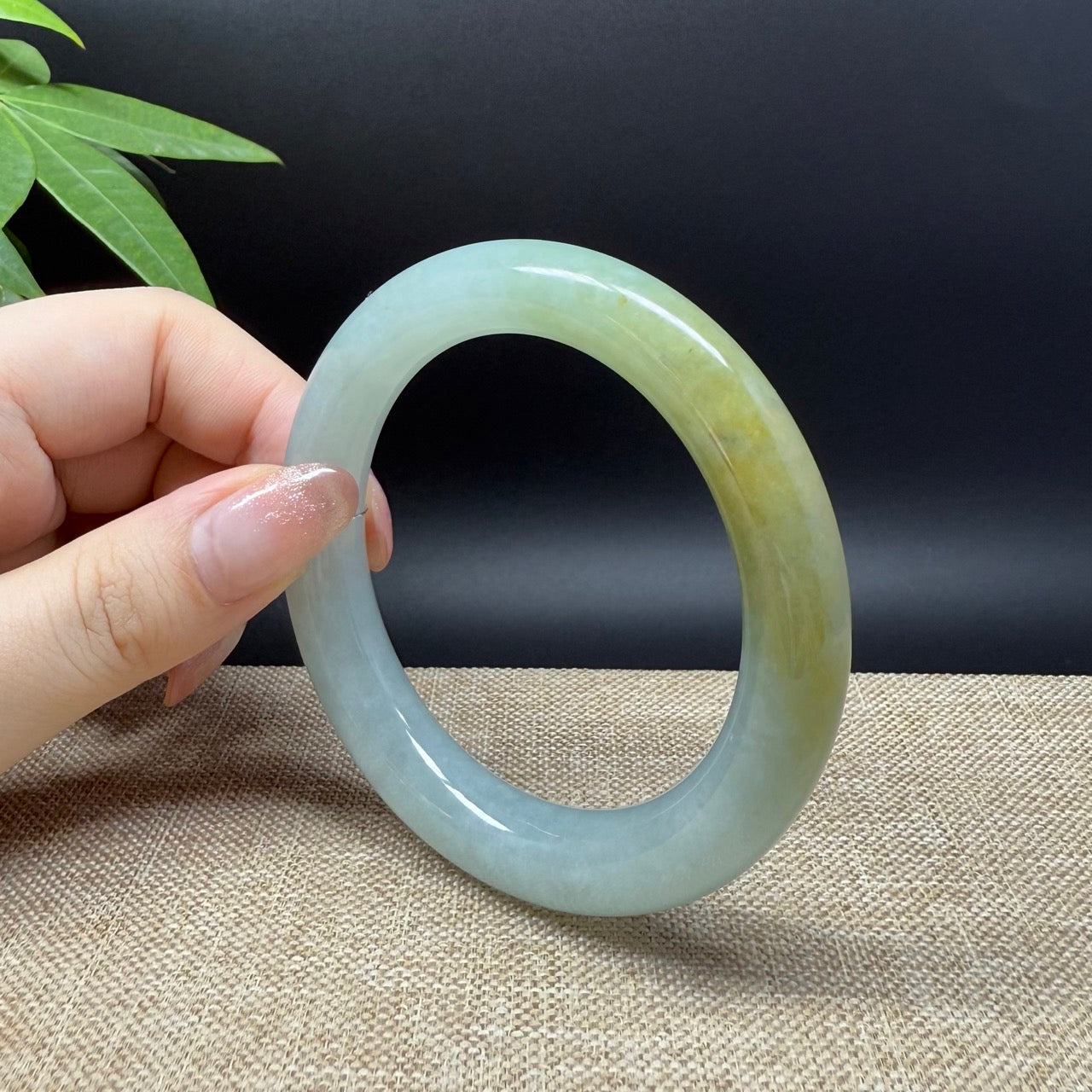 Genuine Burmese Yellow Green Jade Jadeite Bangle Bracelet ( 55.9mm )