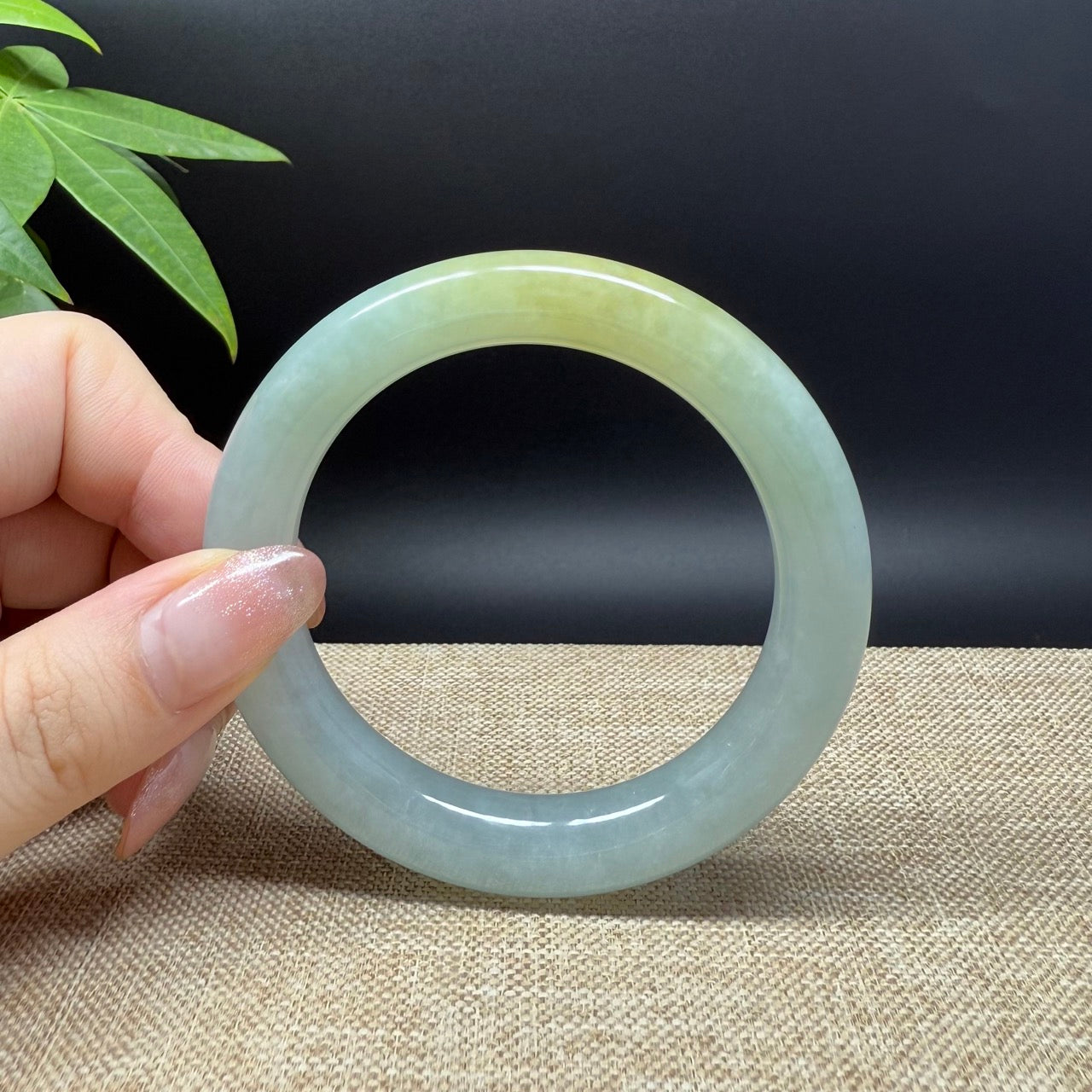 Genuine Burmese Yellow Green Jade Jadeite Bangle Bracelet ( 55.9mm )