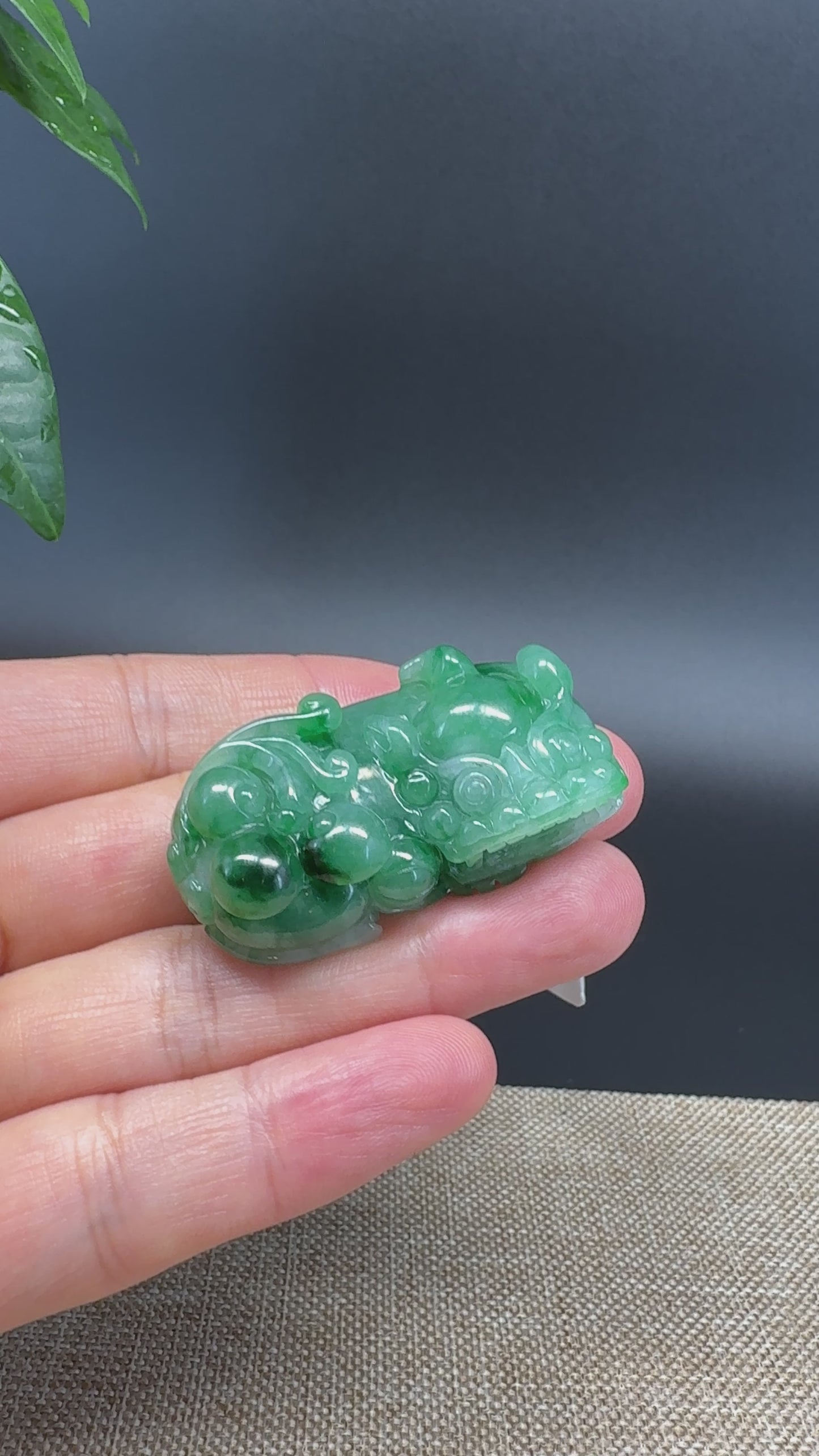 Load and play video in Gallery viewer, RealJade® Co. Pi Xiu Genuine Burmese Jadeite Jade PiXiu Pendant Necklace (FengShui Lucky)
