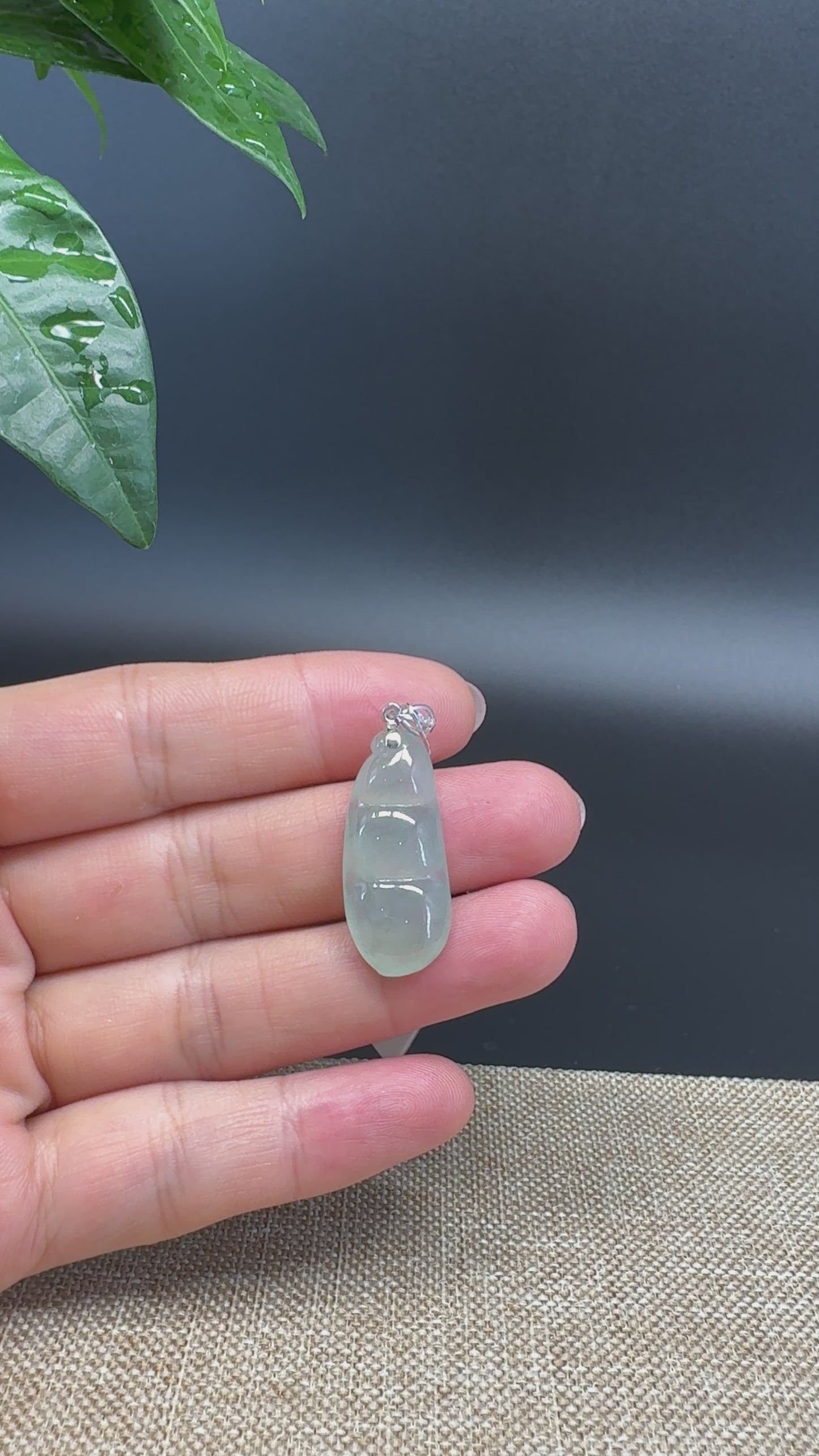 Load and play video in Gallery viewer, RealJade® Co. Genuine Icy Green  Jadeite Jade Bean Necklace With 18K White Gold Bail
