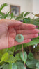 RealJade® Co. 18k Rose Gold Genuine Jadeite Constellation (Virgo) Necklace Pendant