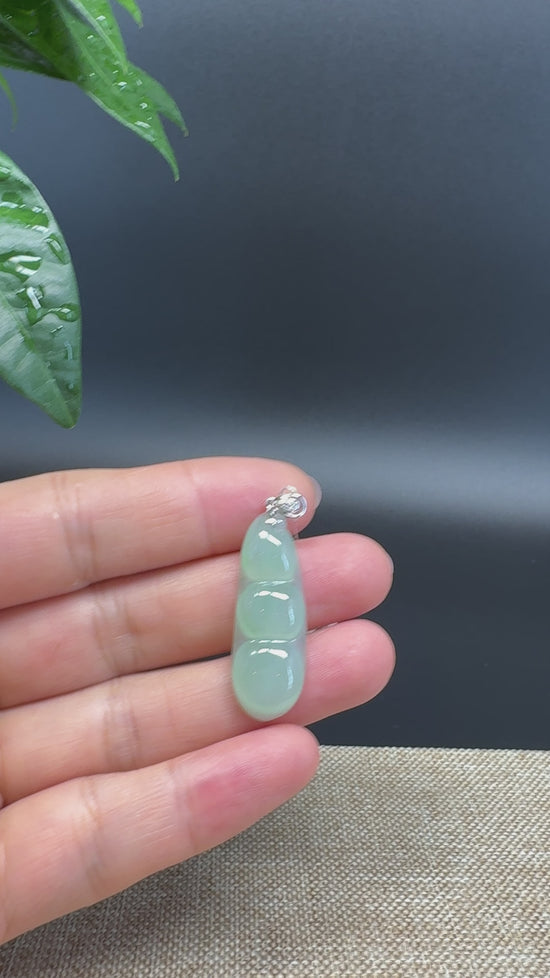 Load and play video in Gallery viewer, RealJade® Co. Genuine Icy Green  Jadeite Jade Bean Necklace With 18K White Gold Bail
