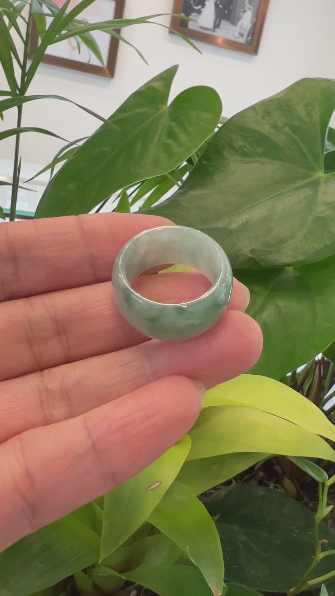 Load and play video in Gallery viewer, Burmese Green Jadeite Jade Men&amp;#39;s Band Ring
