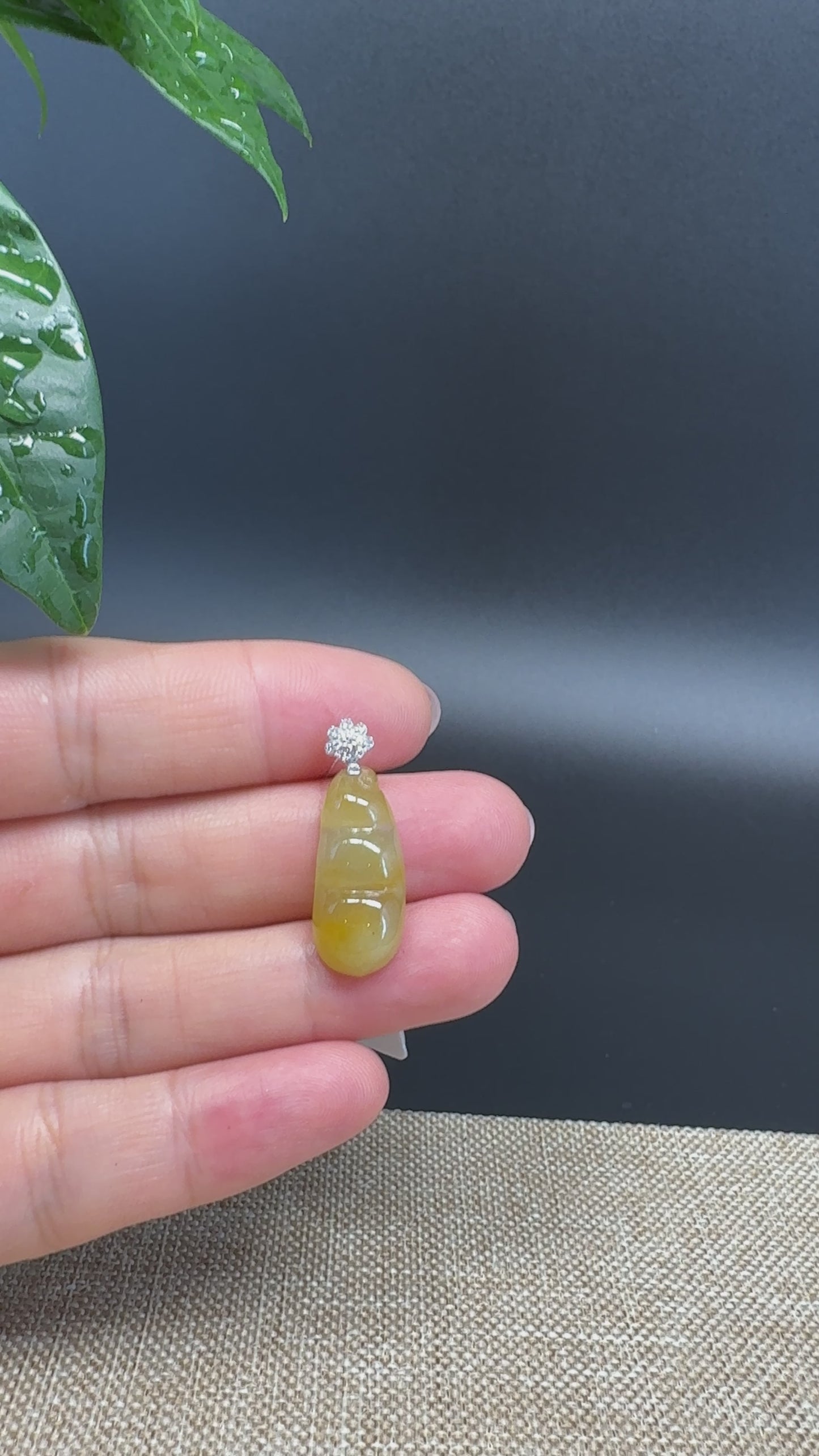 Load and play video in Gallery viewer, RealJade® Co. Genuine Honey Yellow  Jadeite Jade Bean Necklace With 18K White Gold Bail
