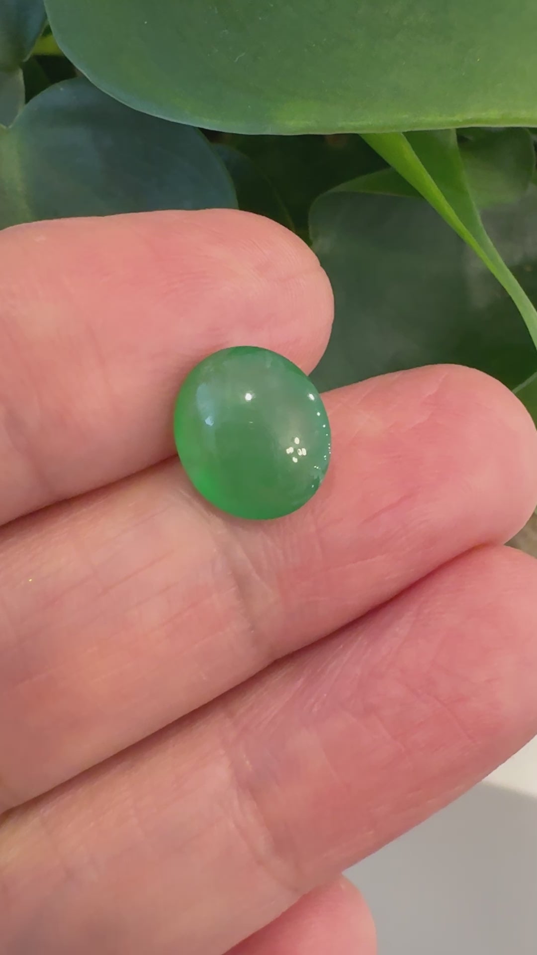 Load and play video in Gallery viewer, Natural Imperial jadeite jade cabochon
