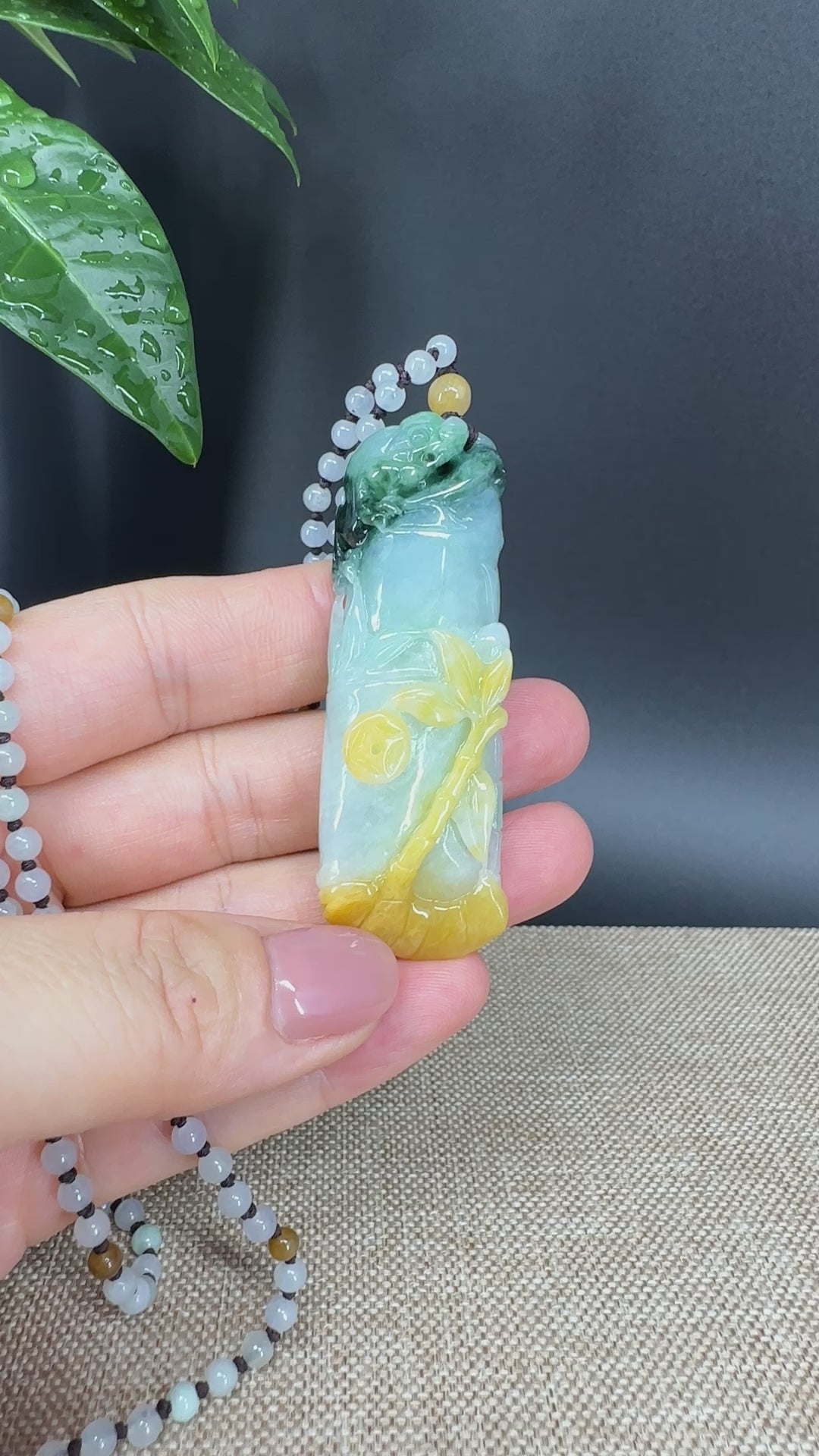 Load and play video in Gallery viewer, RealJade® Co.  Genuine Burmese Jadeite Jade Bamboo Pendant Necklace
