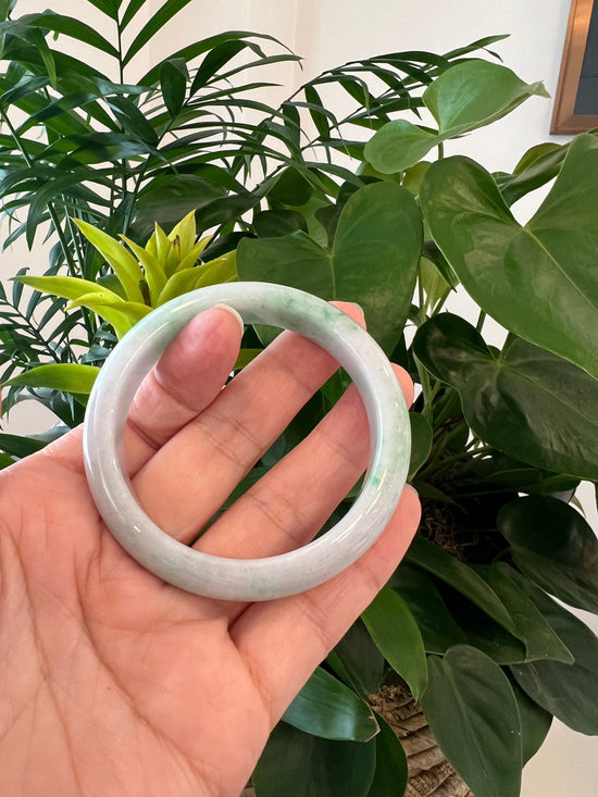 RealJade® "Classic Bangle" Genuine Burmese Green Jadeite Jade Bangle Bracelet (58.48 mm) #195